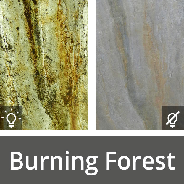 Burning Forest - LUMA