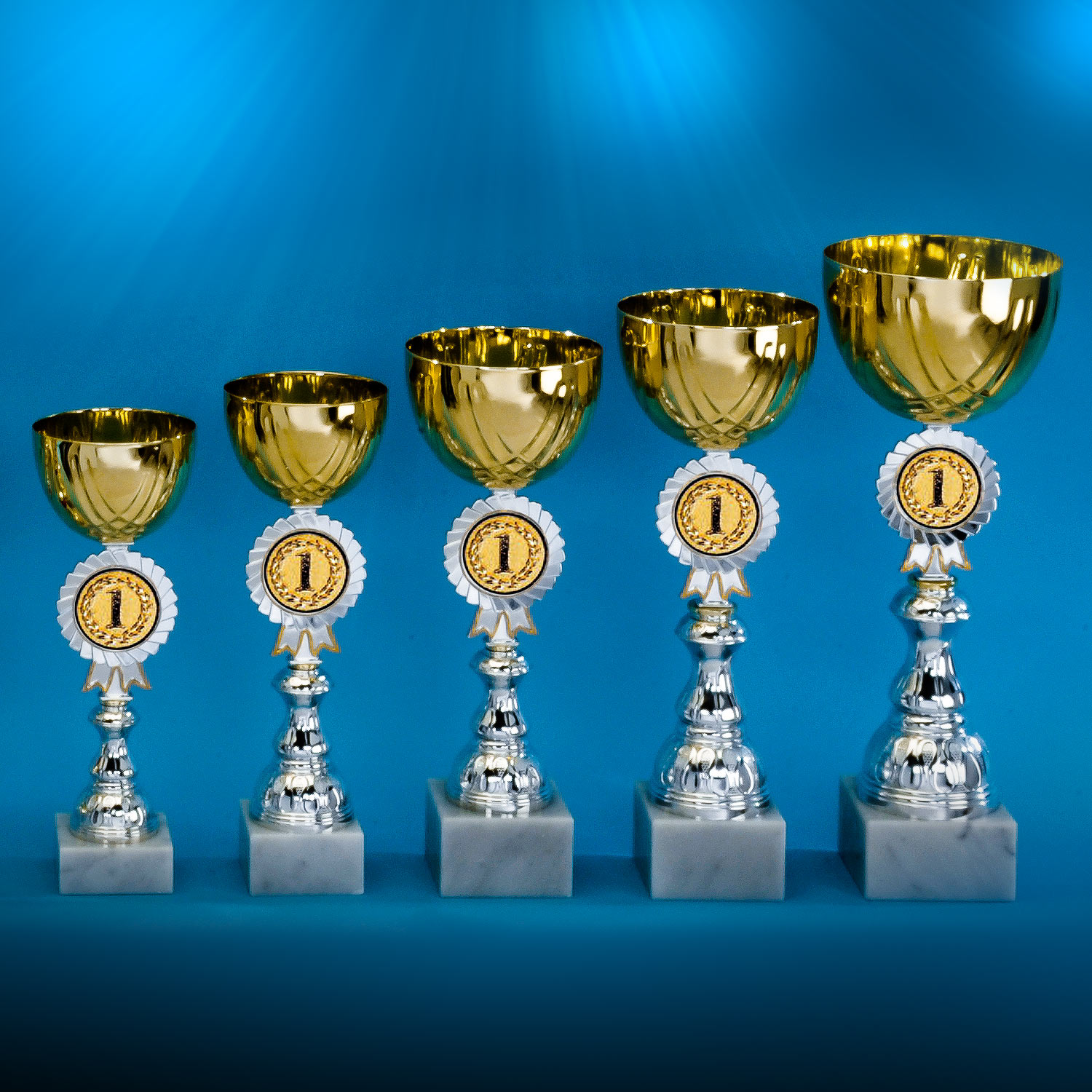 Pokal Arizona