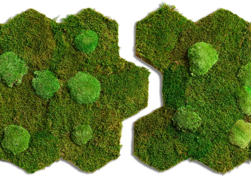 RZ Moos Matte - Wald- & Kugelmoos (2 Stk.)