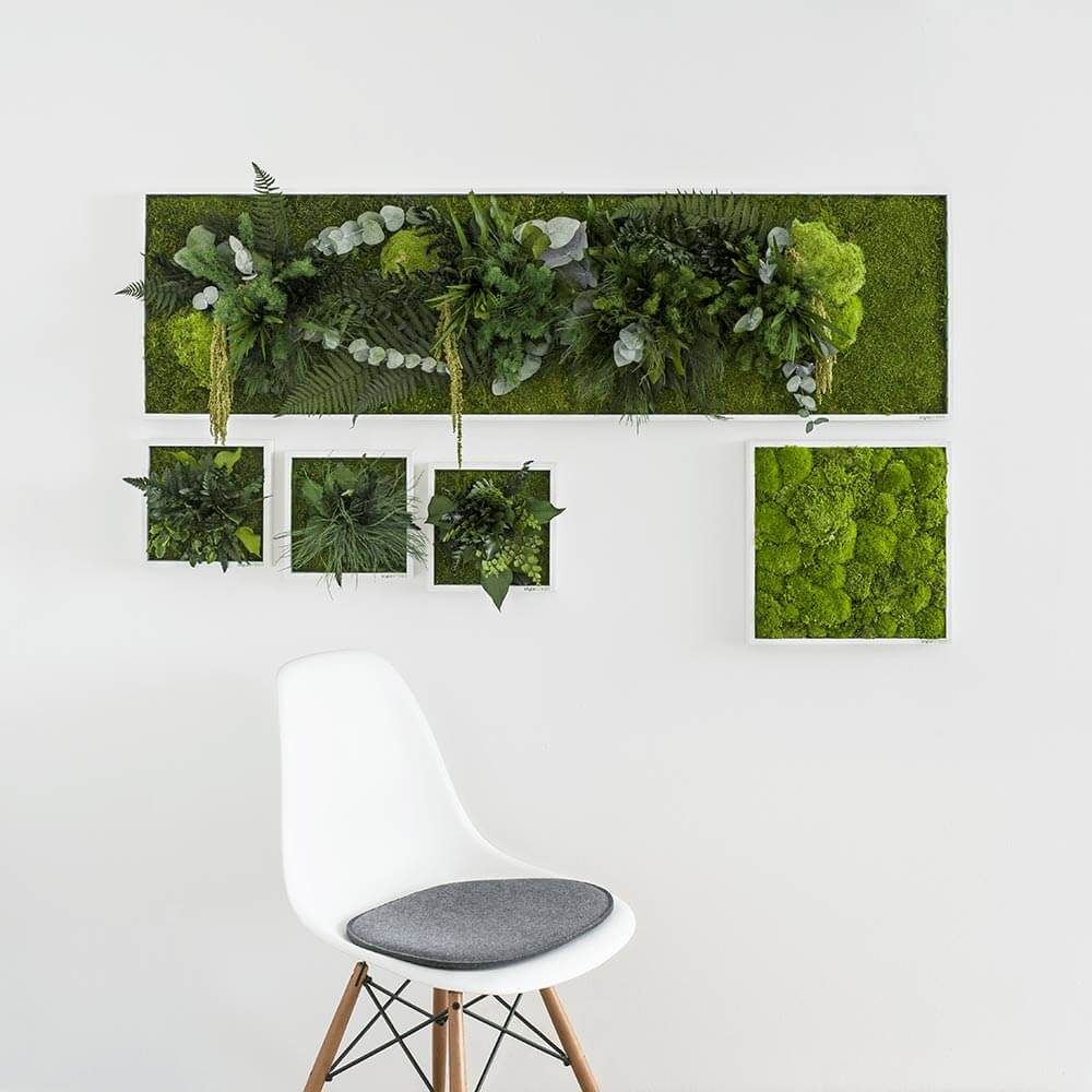 Pflanzenbild 140x40cm