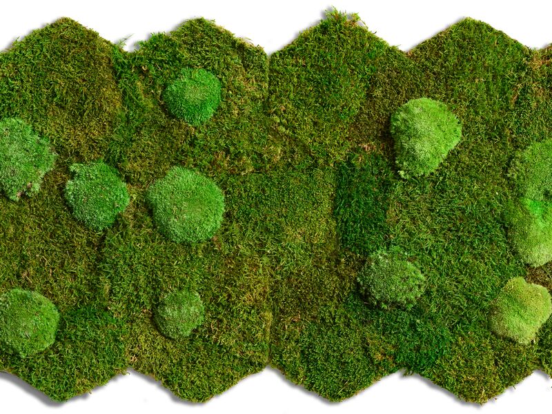 RZ Moos Matte - Wald- & Kugelmoos (2 Stk.)