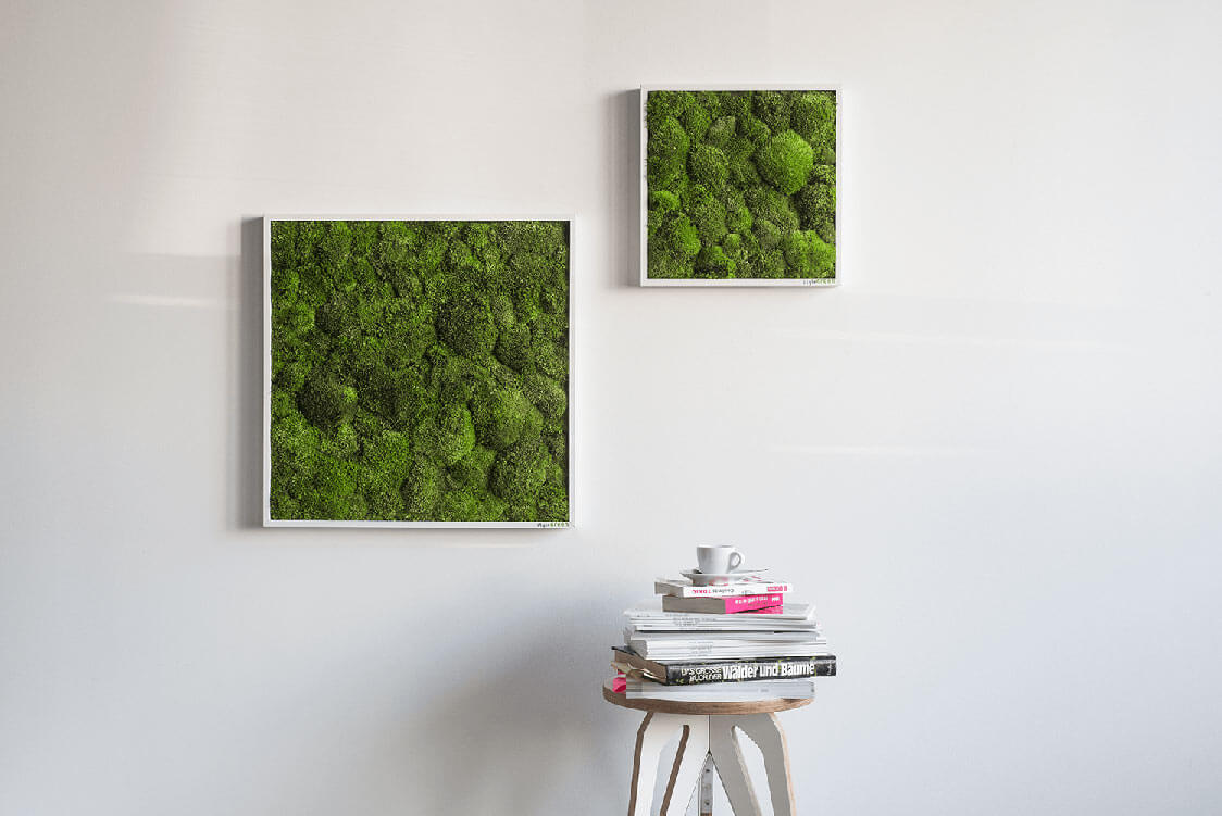 Kugelmoosbild 80x80cm
